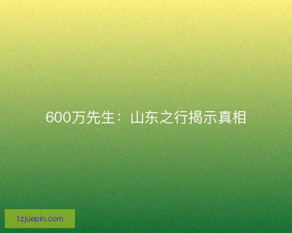 600万先生：山东之行揭示真相