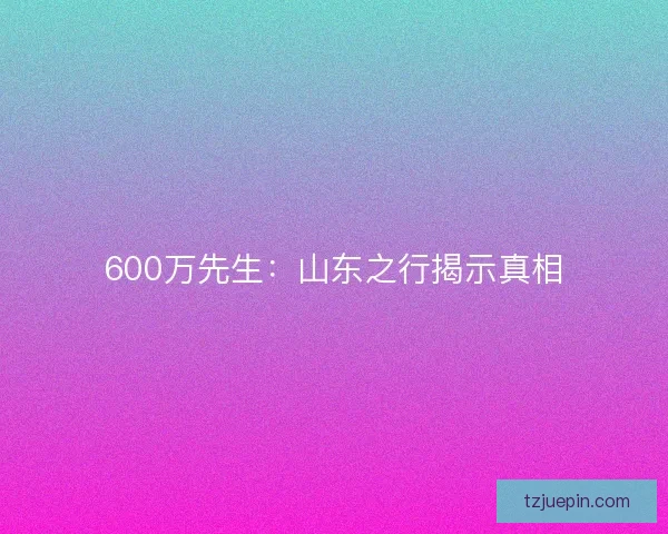 600万先生：山东之行揭示真相